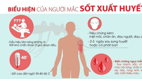 Đừng vì Covid-19 mà né tránh chữa bệnh sốt xuất huyết