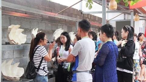 Khánh Hòa: Chuyển hồ sơ làm giả thẻ HDV du lịch đến cơ quan điều tra