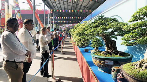 Khai mạc Lễ hội Bonsai & Suiseki châu Á - Thái Bình Dương
