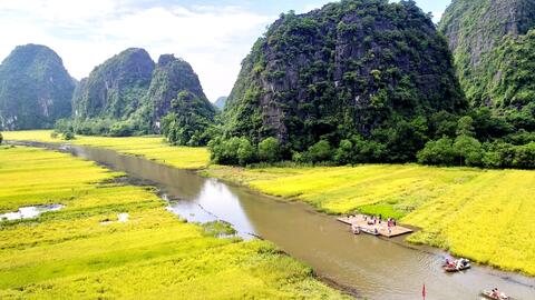 Ngắm sắc vàng Tam Cốc- Tràng An