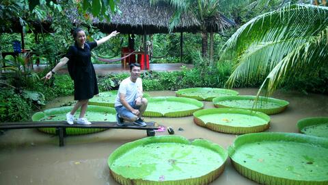 Cồn Sơn, băn khoăn giữa cơn thức - ngủ