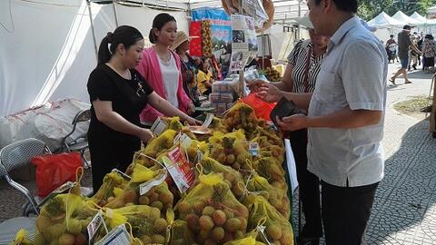 Làm sao thúc đẩy kết nối sản xuất với tiêu thụ nông sản Việt Nam?