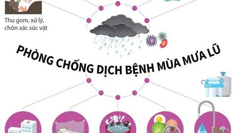 Đề phòng dịch bệnh trong và sau mùa bão lụt