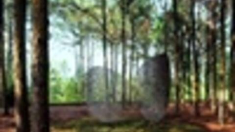 Triển lãm Art in the forest 2019: Nửa thập kỉ kiến tạo nghệ thuật