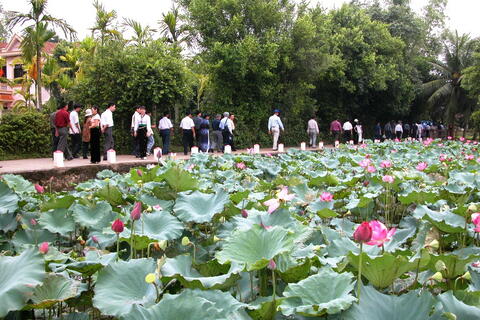 Thơm ngát hương sen quê Bác