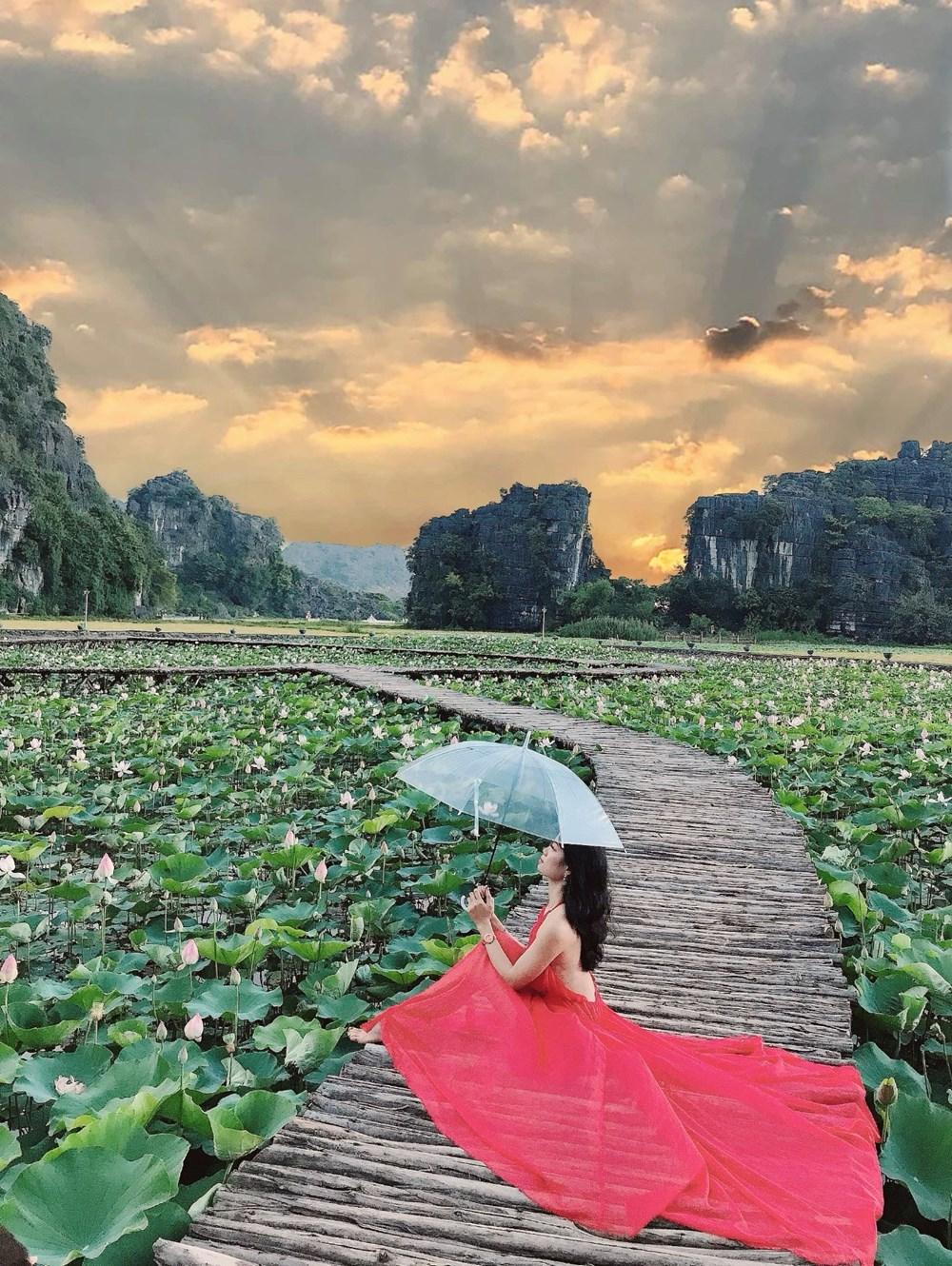 [Photo] Kham pha dam sen duoc menh danh dep nhat Viet Nam hinh anh 8