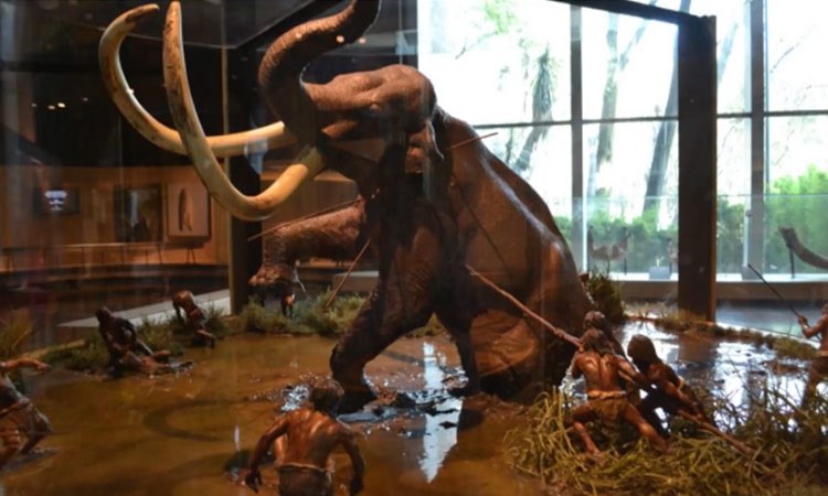 Mexico xay dung bao tang voi ma mut trong san bay quoc te moi hinh anh 1