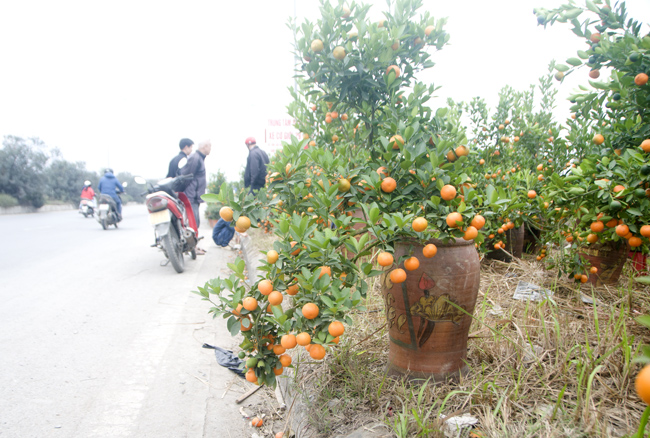 Tấp nập mua sắm tap nap mua sam