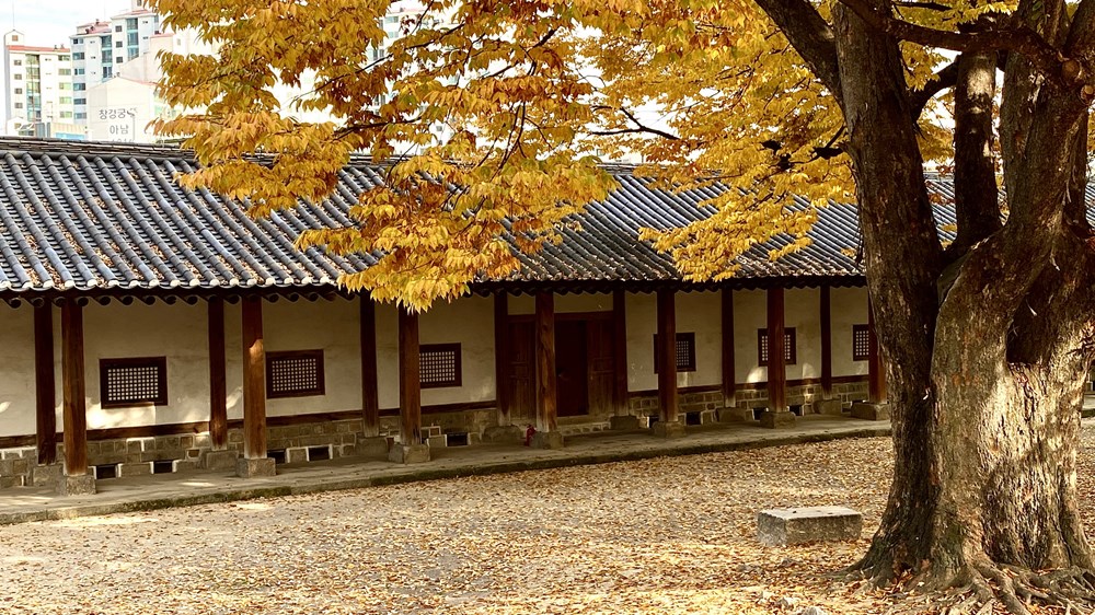 Ngam mua Thu vang dep den nao long tai xu so Kim Chi hinh anh 8