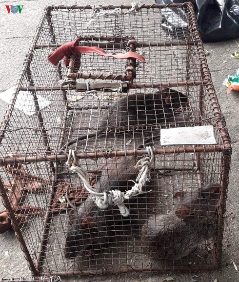 ve dinh bang bac ninh thuong thuc dac san thit chuot hinh 2