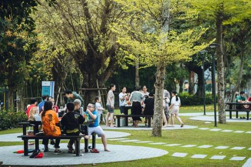 May be an image of 13 people, people standing, tree and outdoors