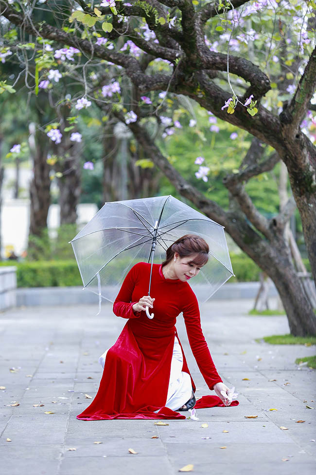 Hoa ban nở rộ khắp phố, chị em nườm nượp hoa ban no ro khap pho, chi em nuom nuop