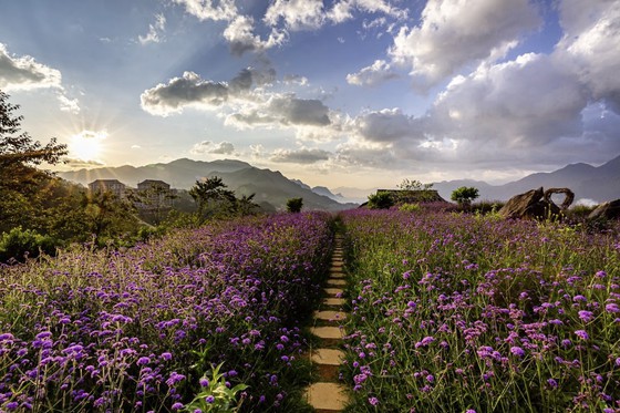 Sun World Fansipan Legend khởi động chuỗi hoạt động chào hè với chủ đề 'Đến Sa Pa bay giữa mùa hoa' ảnh 4