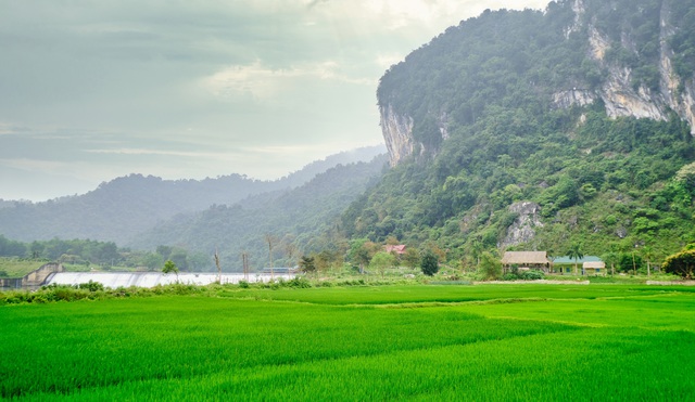 Thẳm Nàng Màn, hang động đá vôi triệu năm ở miền Tây xứ Nghệ - 1