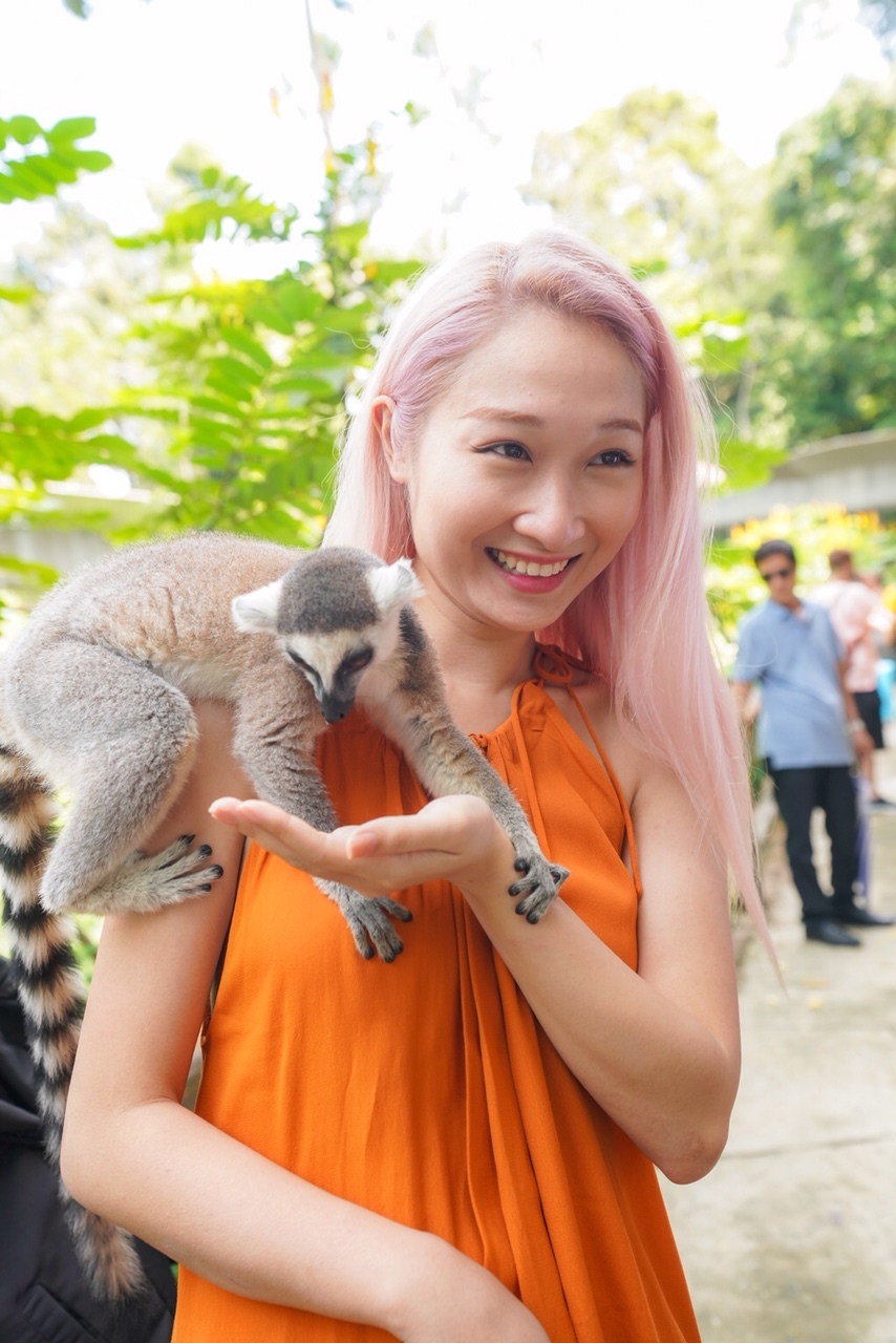 Dàn sao Việt 'đại náo' Vinpearl Land và Safari Phú Quốc