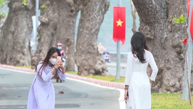 Côn Đảo: Đẹp thơ mộng, ngỡ ngàng mùa Bàng thay lá - Ảnh 5.