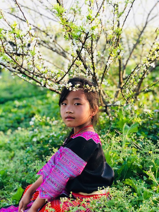 Mê mẩn những cánh Äá»ng hoa Äẹp như thiên ÄÆ°á»ng á» Má»c Châu - 3