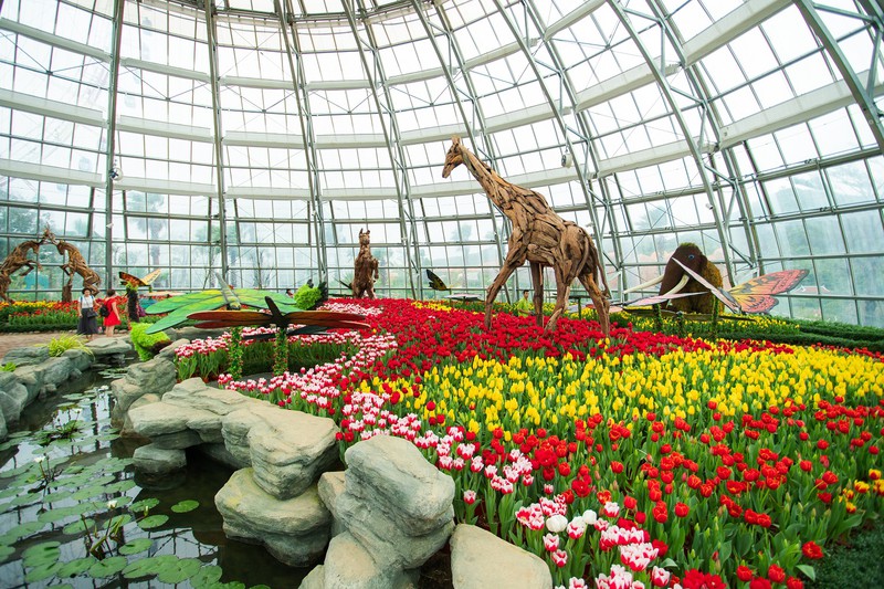 thien duong cua cac hoat dong vui choi, giai tri tai nha trang hinh 1