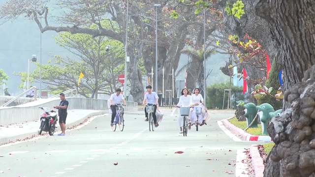 Côn Đảo: Đẹp thơ mộng, ngỡ ngàng mùa Bàng thay lá - Ảnh 4.