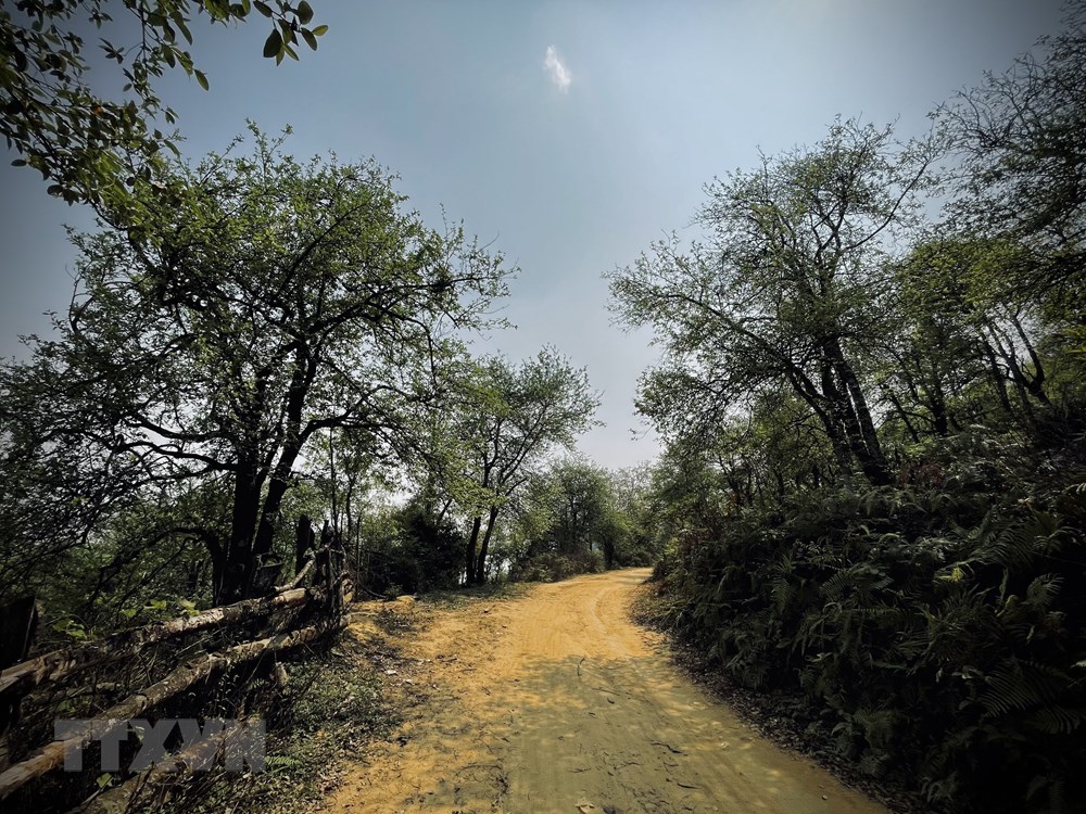 [Photo] Dinh Lung Cung - diem du lich trai nghiem hap dan o Yen Bai hinh anh 4