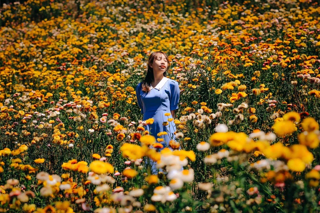 Cảnh sắc như trong truyện tranh ở rừng hoa bất tử tại Đà Lạt - 10