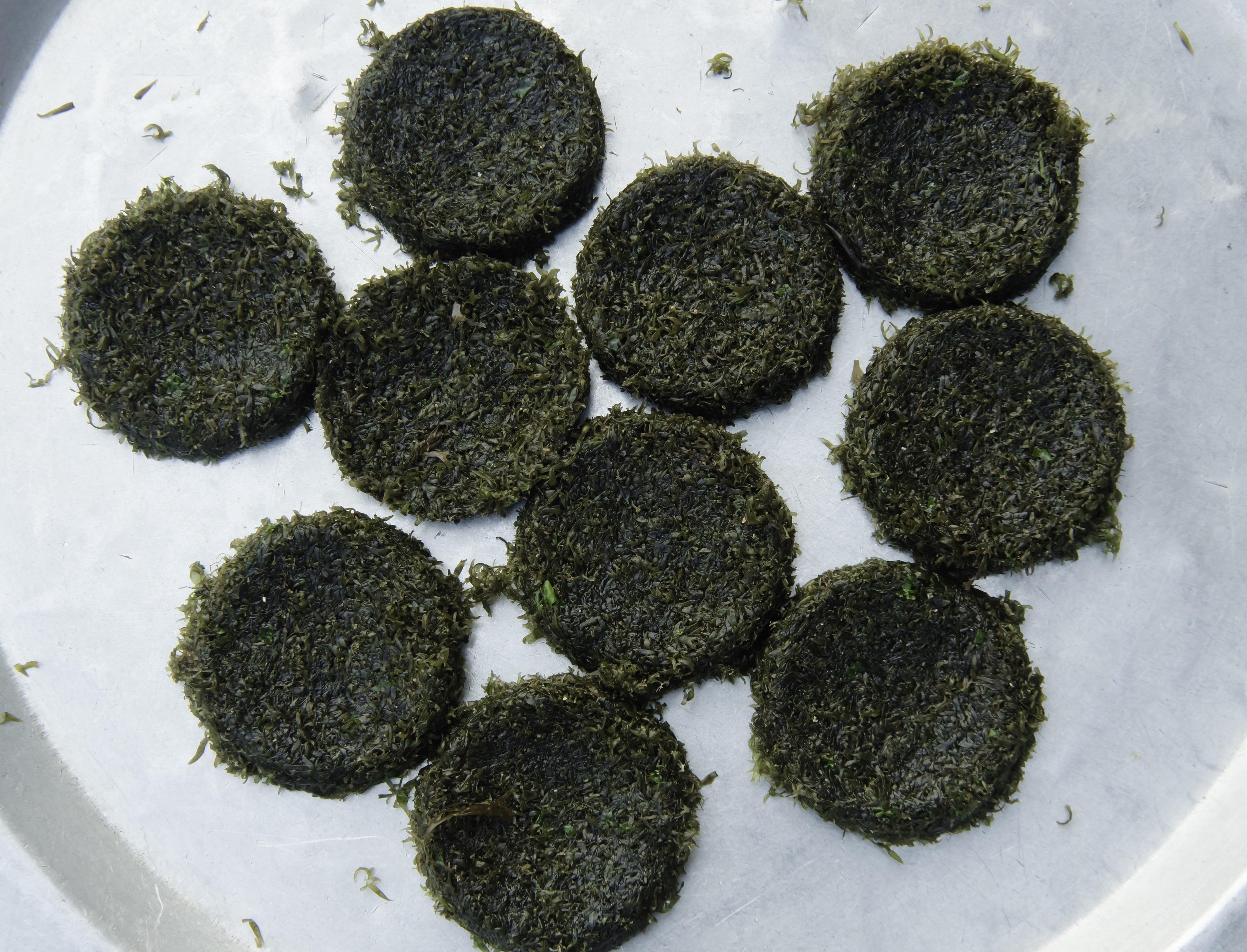 Lạ kỳ thứ bánh làm từ rau cạo ở biển, ăn kèm với cá kho mới ngon hình ảnh 5 la ky thu banh lam tu rau cao o bien, an kem voi ca kho moi ngon hinh anh 5