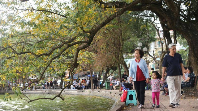 Nao lÃ²ng vá»i HÃ  Ná»i mÃ¹a cÃ¢y thay lÃ¡ - 4