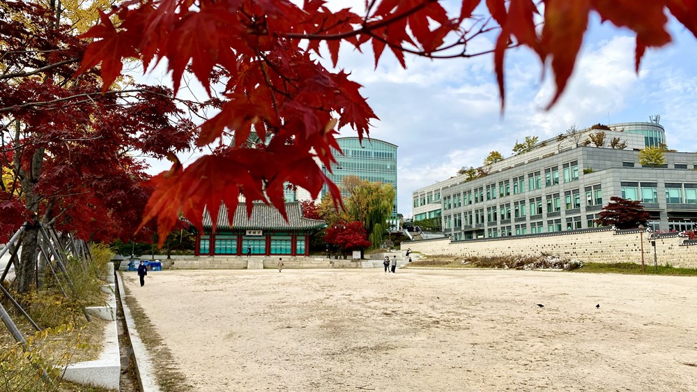 Ngam mua Thu vang dep den nao long tai xu so Kim Chi hinh anh 2