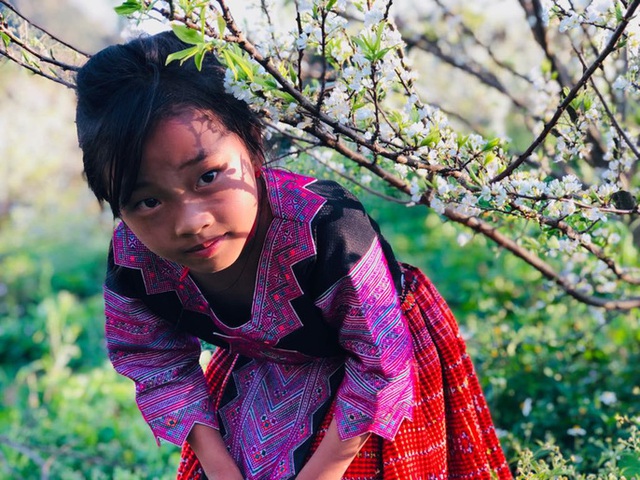 Mê mẩn những cánh Äá»ng hoa Äẹp như thiên ÄÆ°á»ng á» Má»c Châu - 8