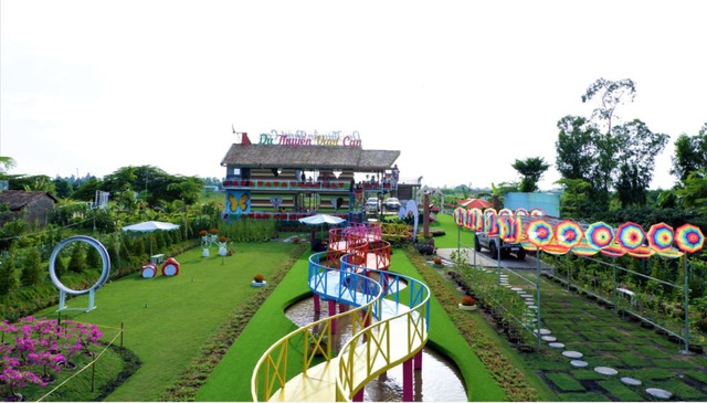 Vườn hoa hướng dương lớn nhất TP Sa Đéc mê hoặc người dân miền Tây - 4