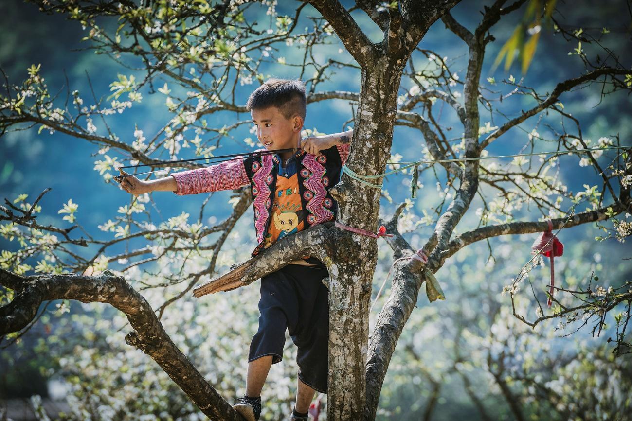 Hoa mận nở trắng trời đẹp như cổ tích ở Mộc Châu - 8