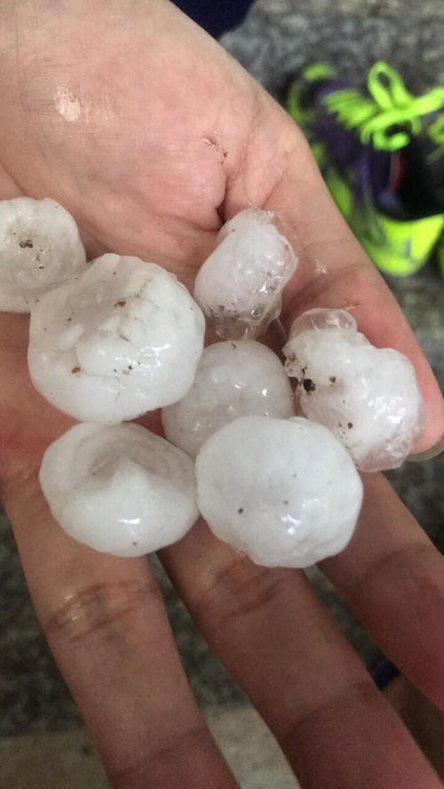 lai chau: mua da du doi, hoa mau cua ba con bi tan pha toi ta hinh anh 3