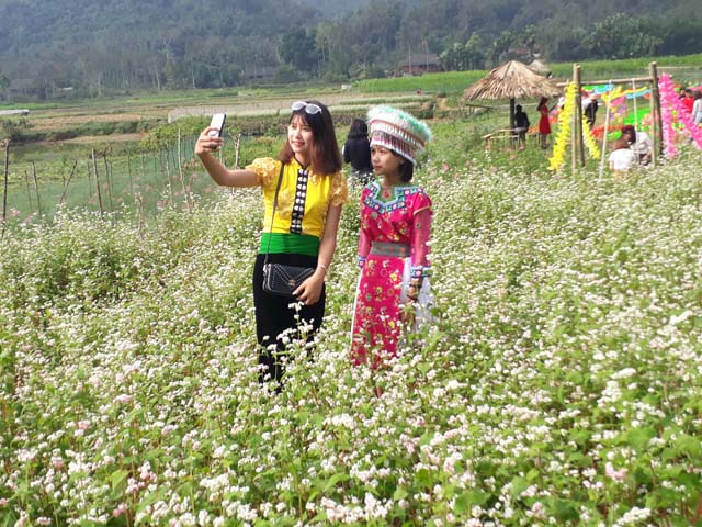 dep me hon voi sac xuan tren ban lang vung cao tay bac hinh anh 5