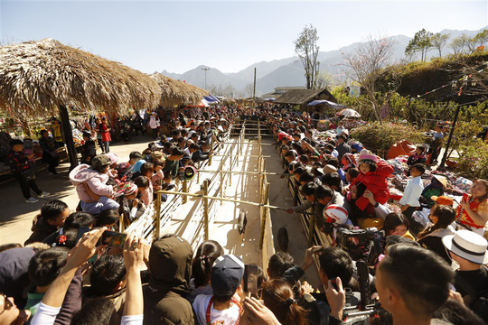 ThiÃªn ÄÆ°á»ng hoa ÄÃ o Äáº¹p cháº³ng kÃ©m Nháº­t Báº£n, HÃ n Quá»c lÃ  ÄÃ¢y chá»© ÄÃ¢u - áº¢nh 8.