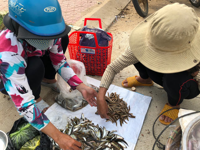 dac san hiem ca chach cat o vung nui: co tien chac gi da mua duoc hinh anh 5