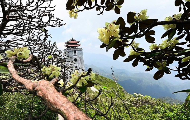 fansipan dep me hoac mua nang moi, gia ve cap treo giam 250.000 dong hinh 7