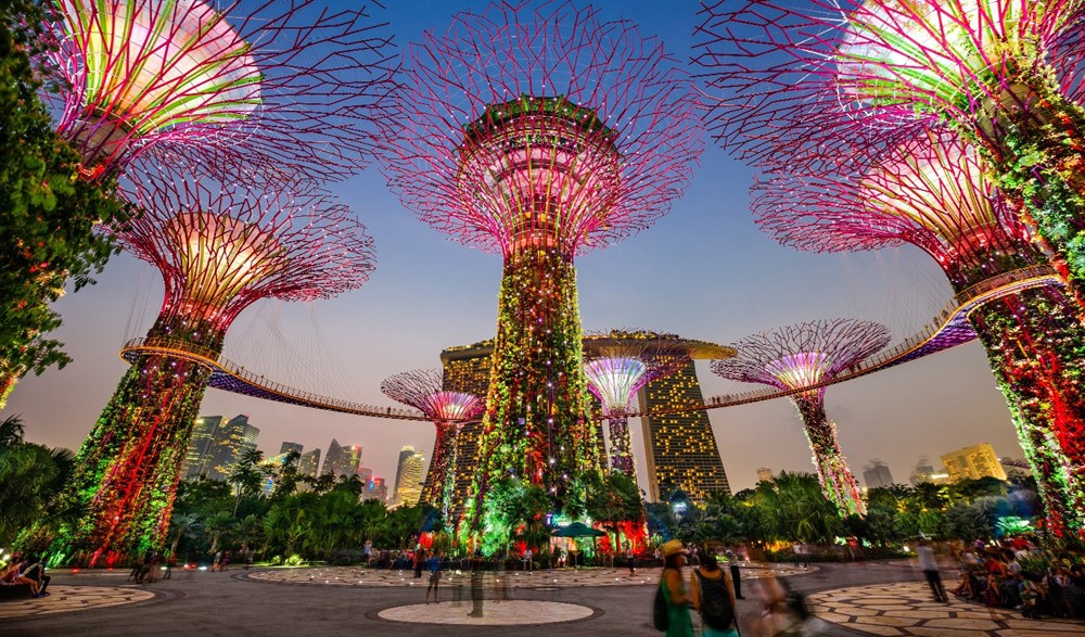 Da Lat lot top 5 diem den ngam hoa duoc yeu thich nhat the gioi hinh anh 4