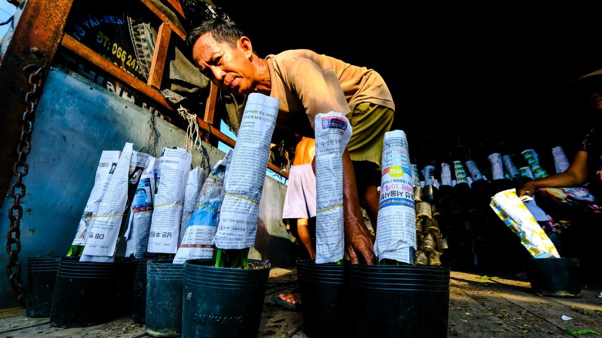 Đến thời điểm này, đa số lượng cây, hoa tại làng hoa Tân Khánh Đông đã có người đặt mua hết. Ảnh: Vinh Gấu