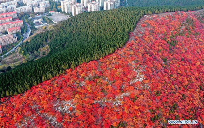 Kinh ngạc với ngọn núi nửa xanh, nửa đỏ - 2