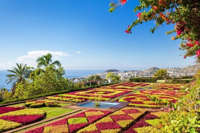 Da Lat lot top 5 diem den ngam hoa duoc yeu thich nhat the gioi hinh anh 2