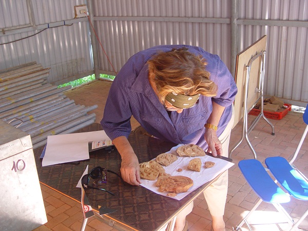 my son- chuyen gia Italia nghien cuu vat lieu