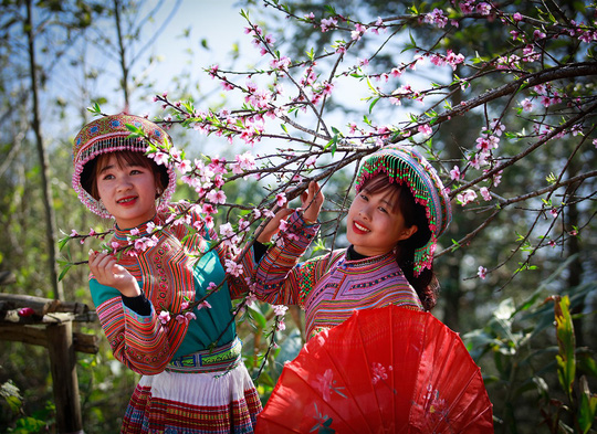 ThiÃªn ÄÆ°á»ng hoa ÄÃ o Äáº¹p cháº³ng kÃ©m Nháº­t Báº£n, HÃ n Quá»c lÃ  ÄÃ¢y chá»© ÄÃ¢u - áº¢nh 5.