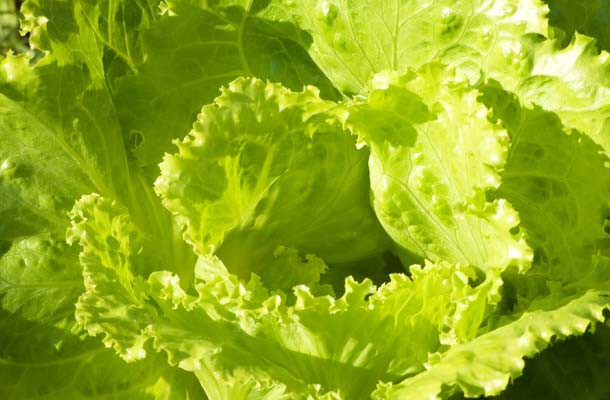 6 loai nuoc ep hang dau giup chong lai ung thu hinh 4