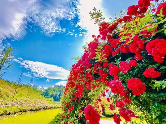 Nhiều trải nghiệm bất ngờ được các điểm đến Sun Group chuẩn bị để chào đón khách trở lại - Ảnh 3.