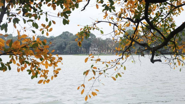 Nao lÃ²ng vá»i HÃ  Ná»i mÃ¹a cÃ¢y thay lÃ¡ - 1