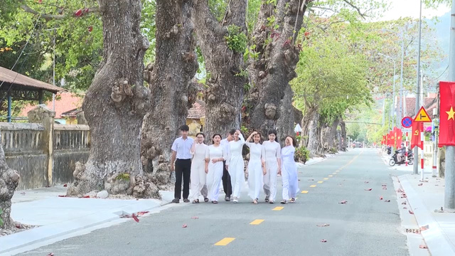 Côn Đảo: Đẹp thơ mộng, ngỡ ngàng mùa Bàng thay lá - Ảnh 6.