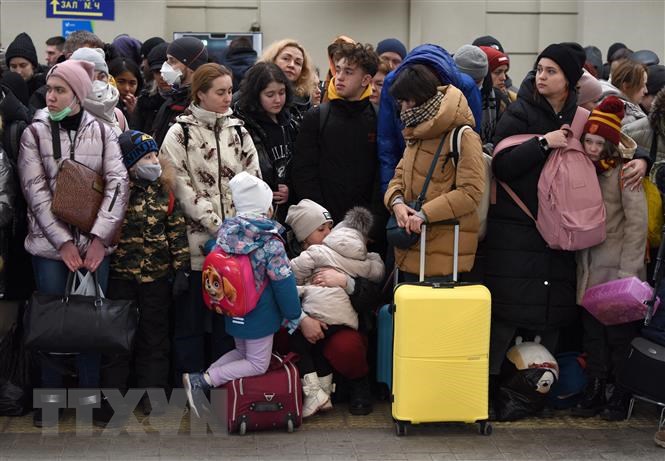 Xung dot voi Nga khien kinh te Ukraine thiet hai gan 120 ty USD hinh anh 1