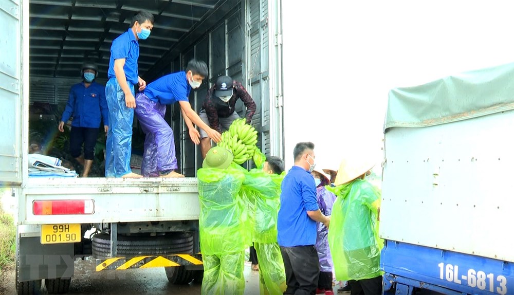 Phu nu Bac Ninh doi mua thu hoach nong san chi vien cho nguoi Ha Noi hinh anh 6