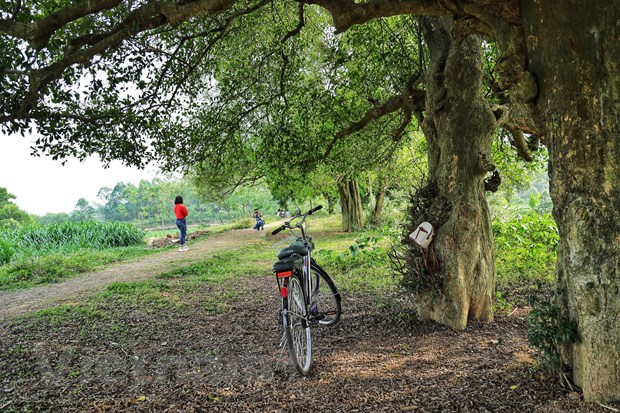 [Photo] Dung duoi vom duoi di san doc dao o xu Doai may trang bay hinh anh 6