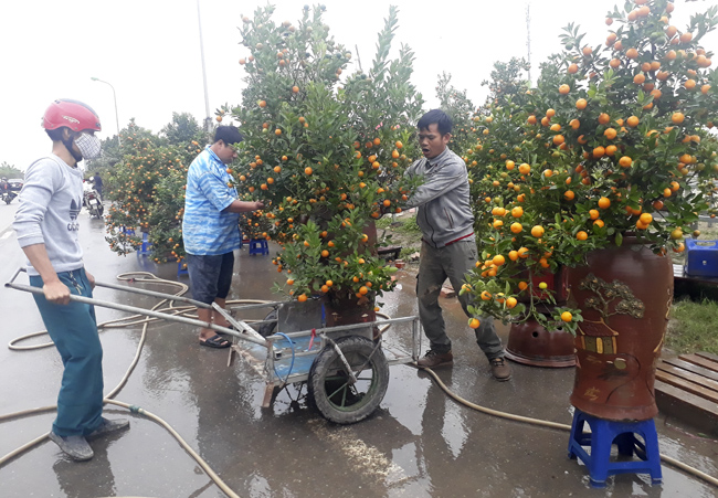 Tấp nập mua sắm tap nap mua sam